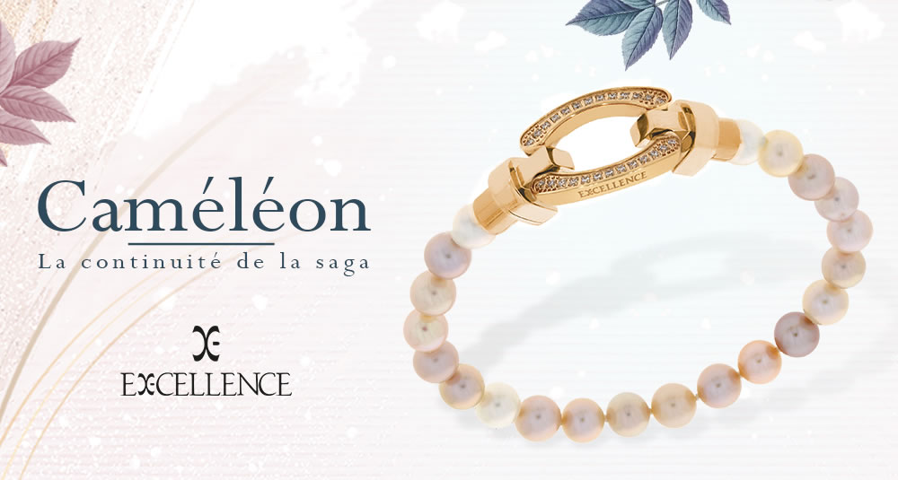 10% de remise chez Excellence